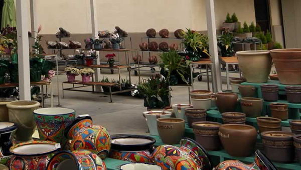 Pots